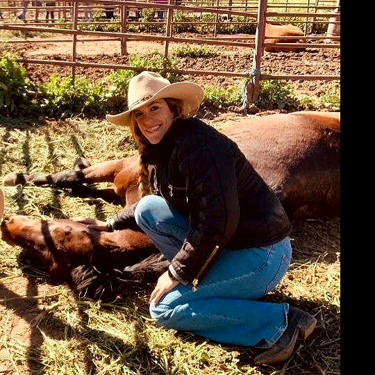 Multifunctional agriculture and livestock promotional event in southwest Spain