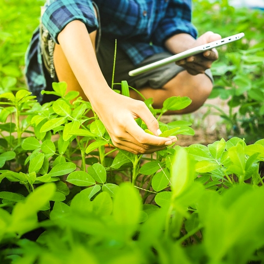 Adoptar la agricultura multifuncional: un camino hacia las celebraciones sostenibles del Día de la Tierra